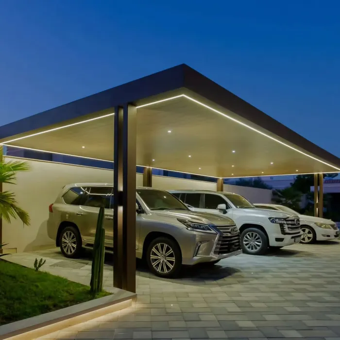 صورة المقال