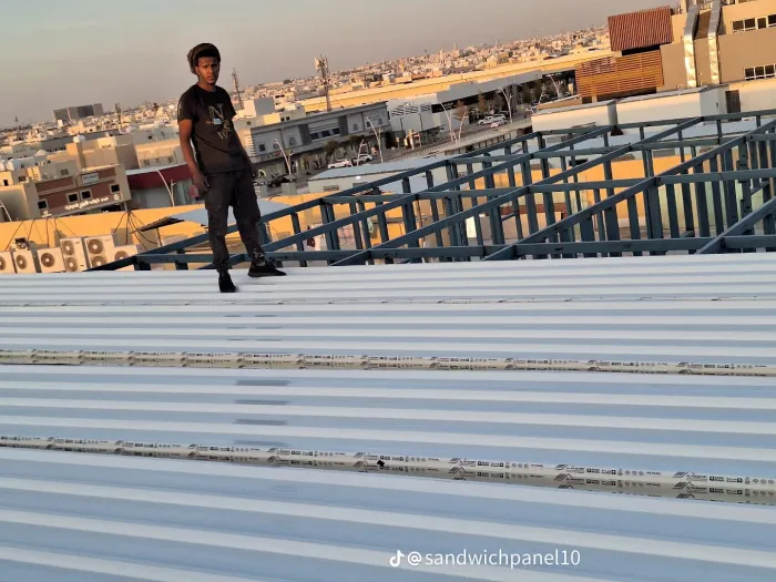 صورة